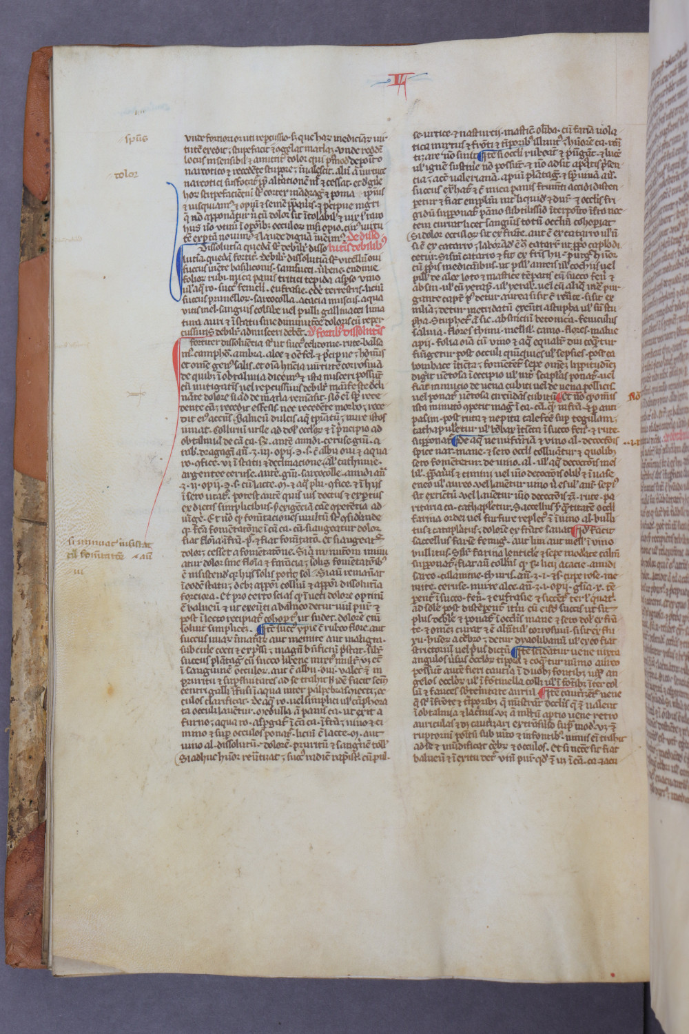 Folio 60 verso